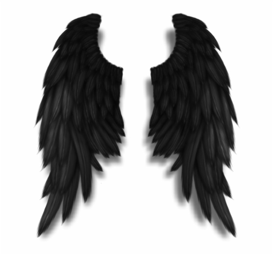 Темные Крылья