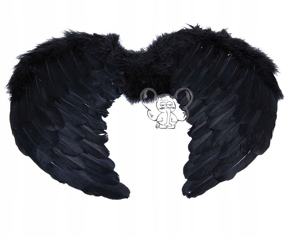 Крылья ангела черные