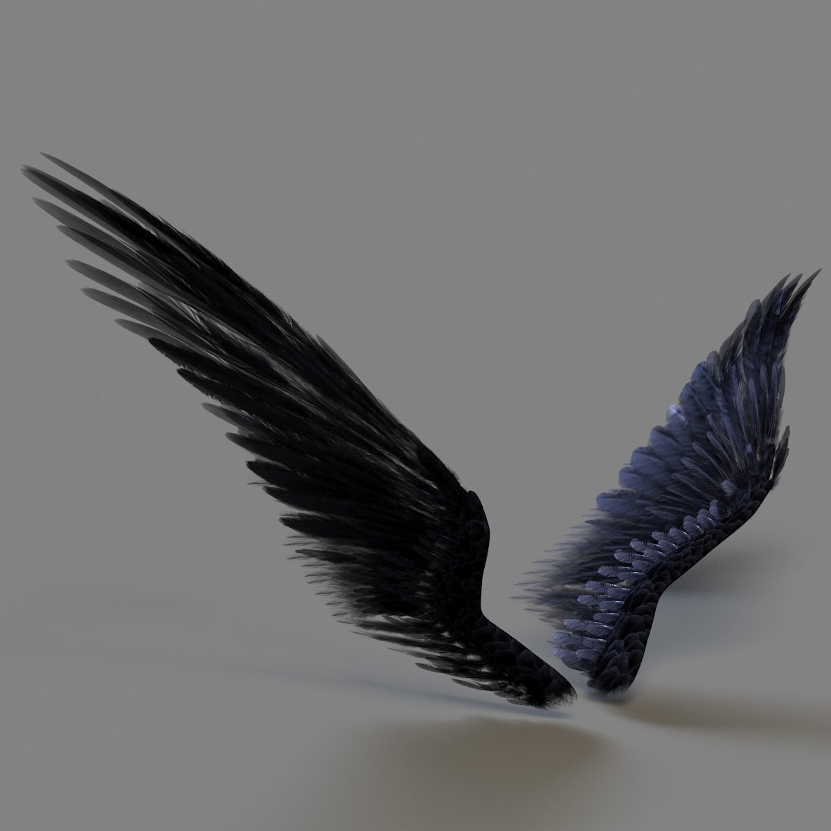 Черные Крылья Эстетика