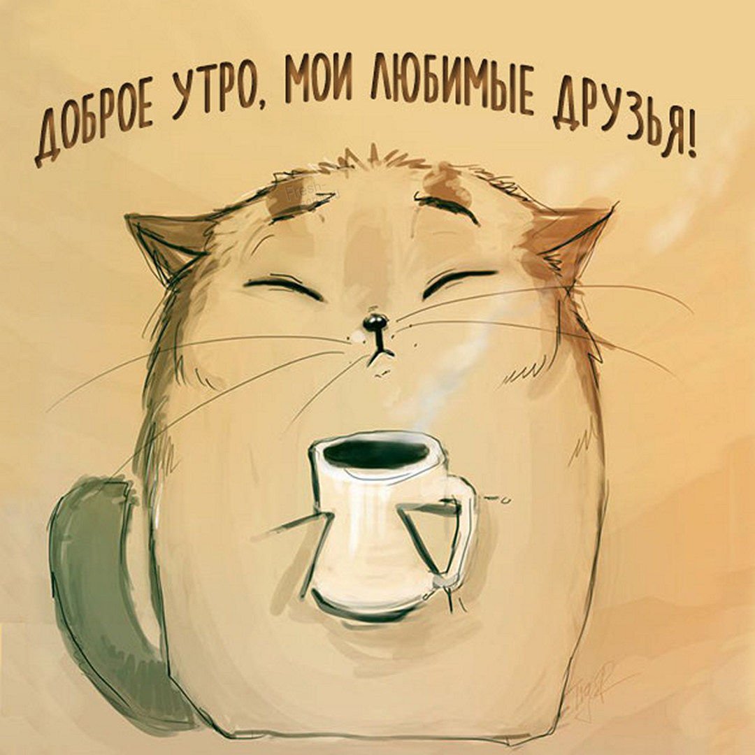 Котик с чашкой кофе