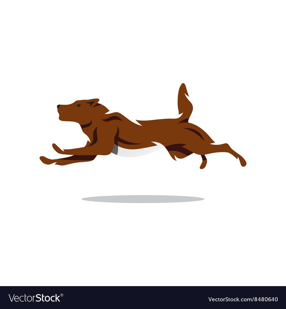 Собака счастье