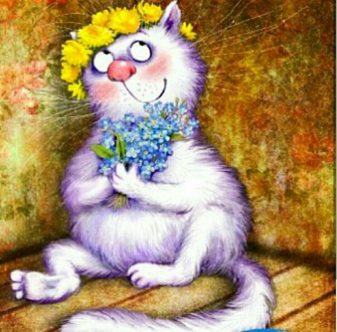 Ирина Зенюк рыжие коты