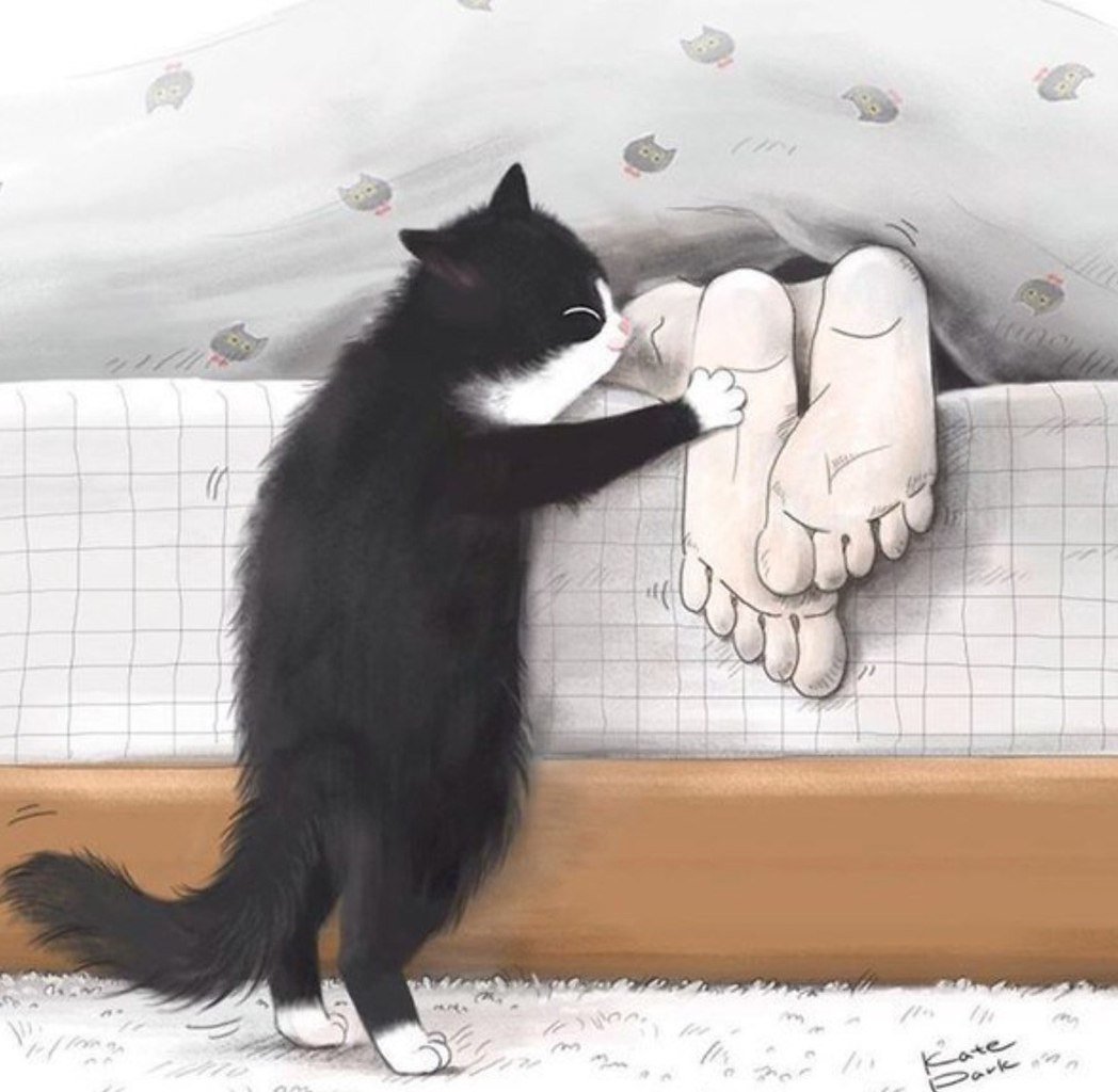 С добрым утром котики