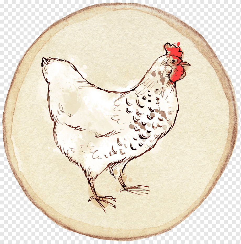 Курица картинка
