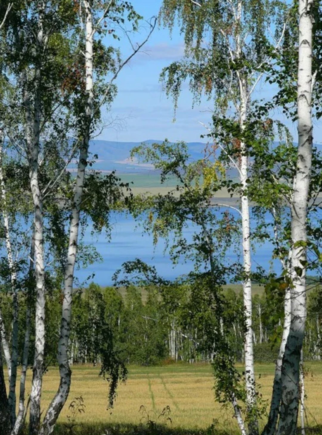 Фельдман Владимир Петрович Родина