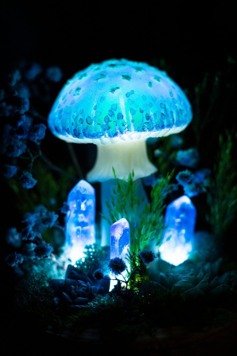 Светящийся гриб