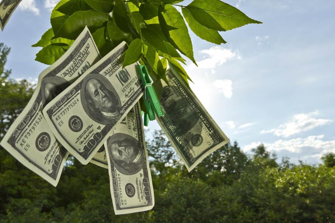 Дерево с деньгами