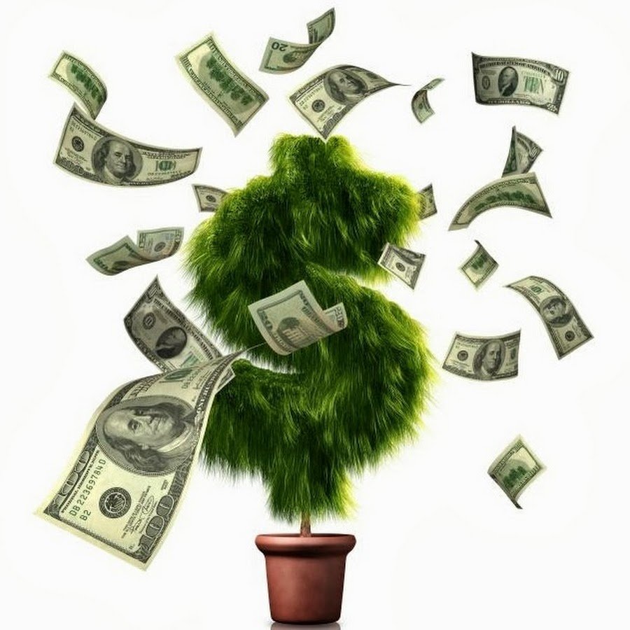 Эстетика зелёного цвета