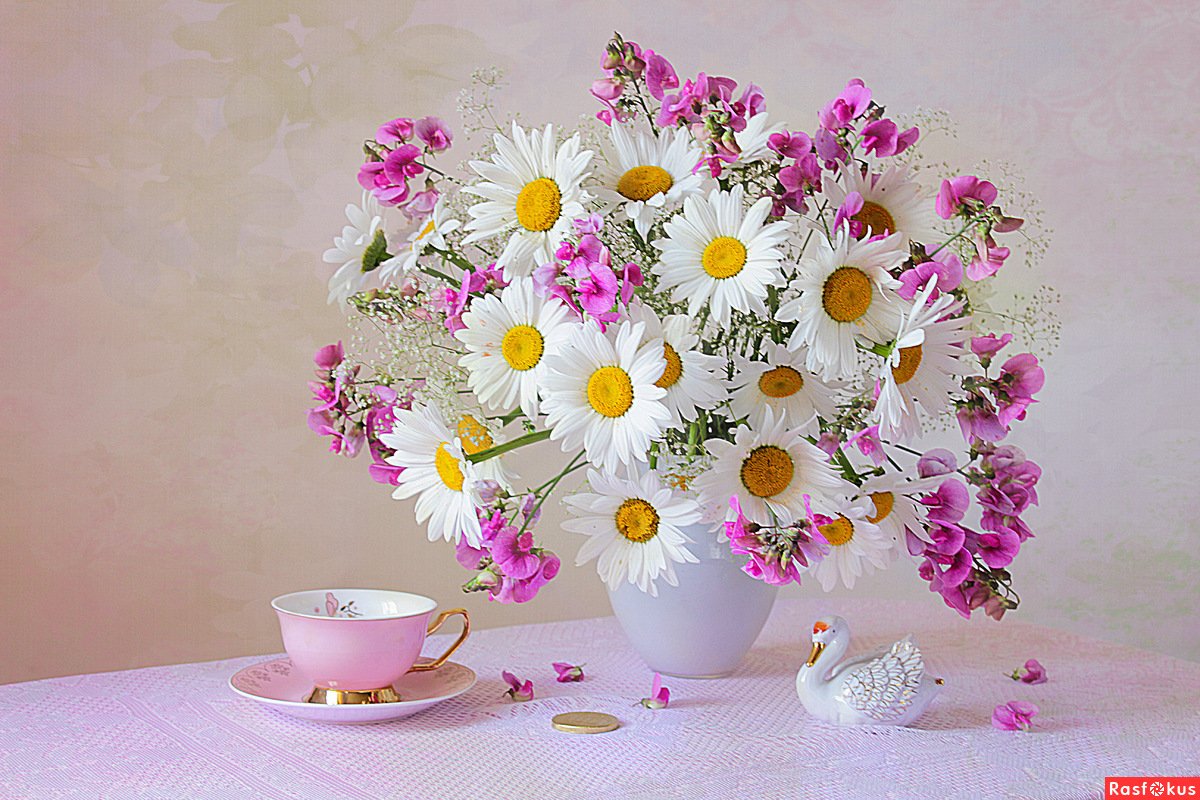 Нежность души