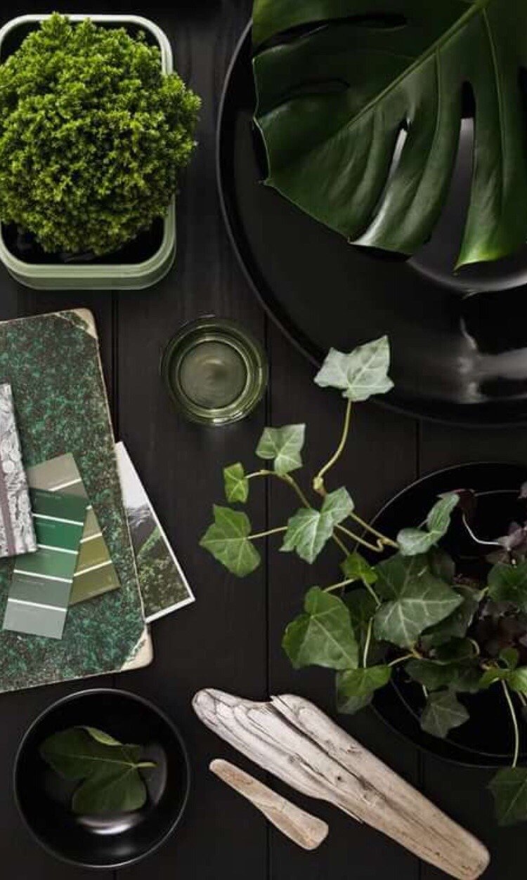 Дерево с деньгами