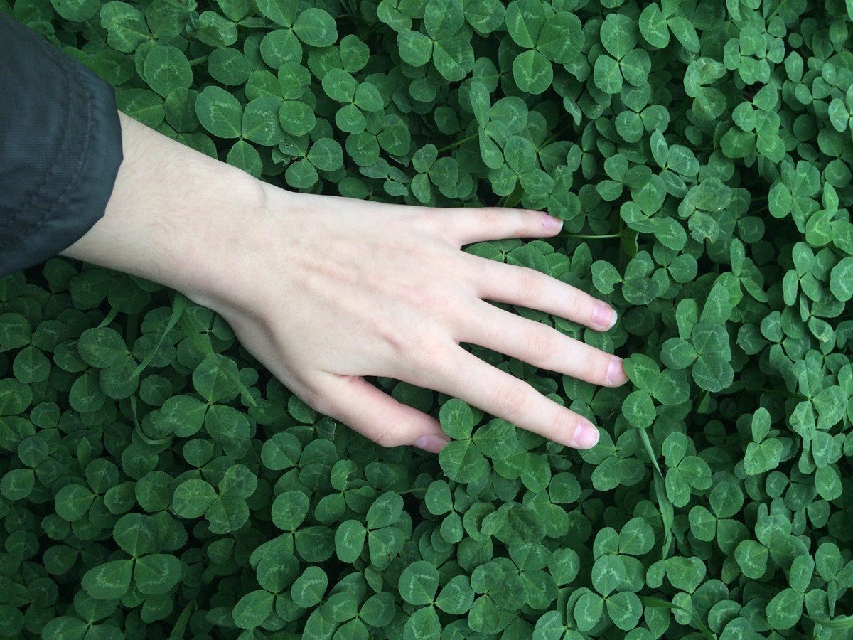 Паттерн деньги