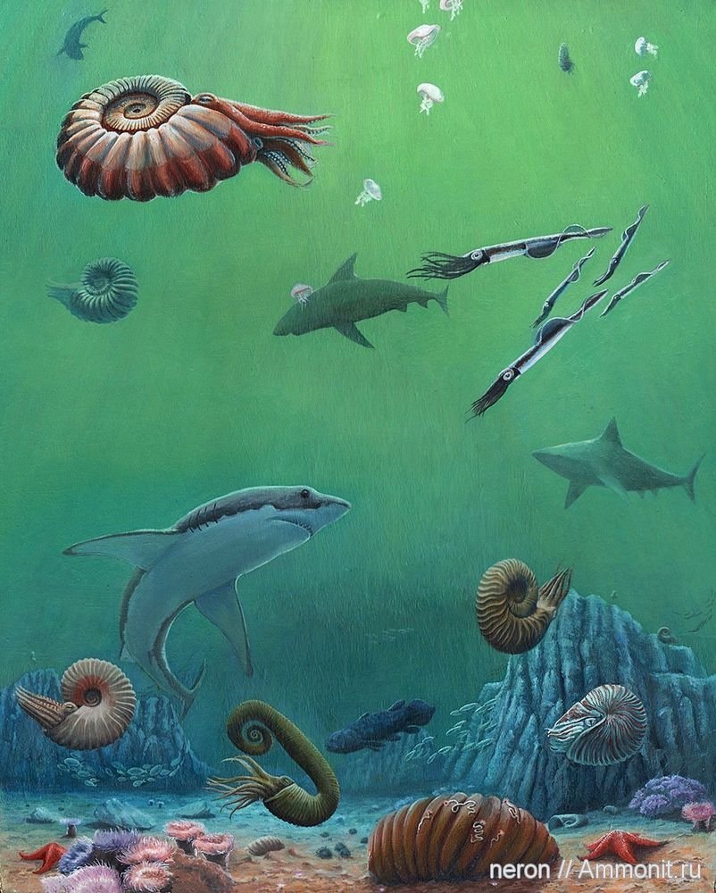 Морская фауна мелового периода