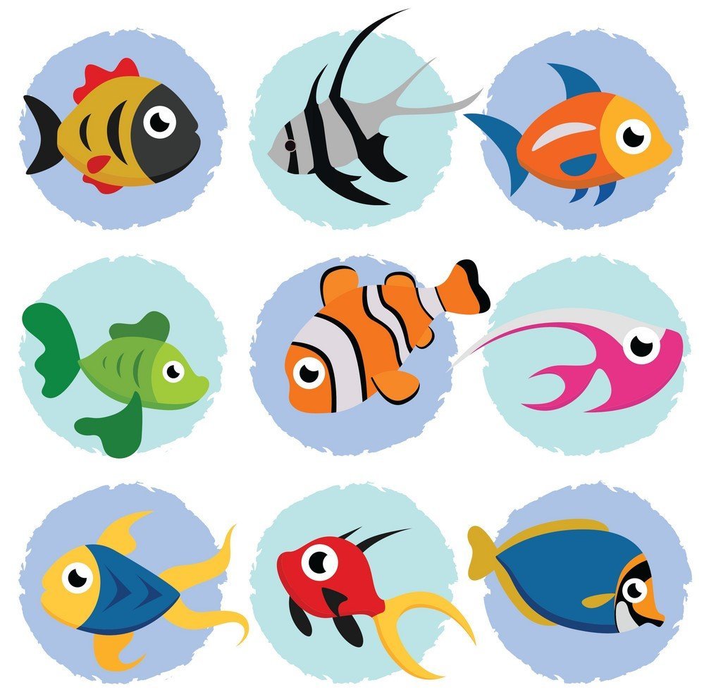 Рыбки карточки