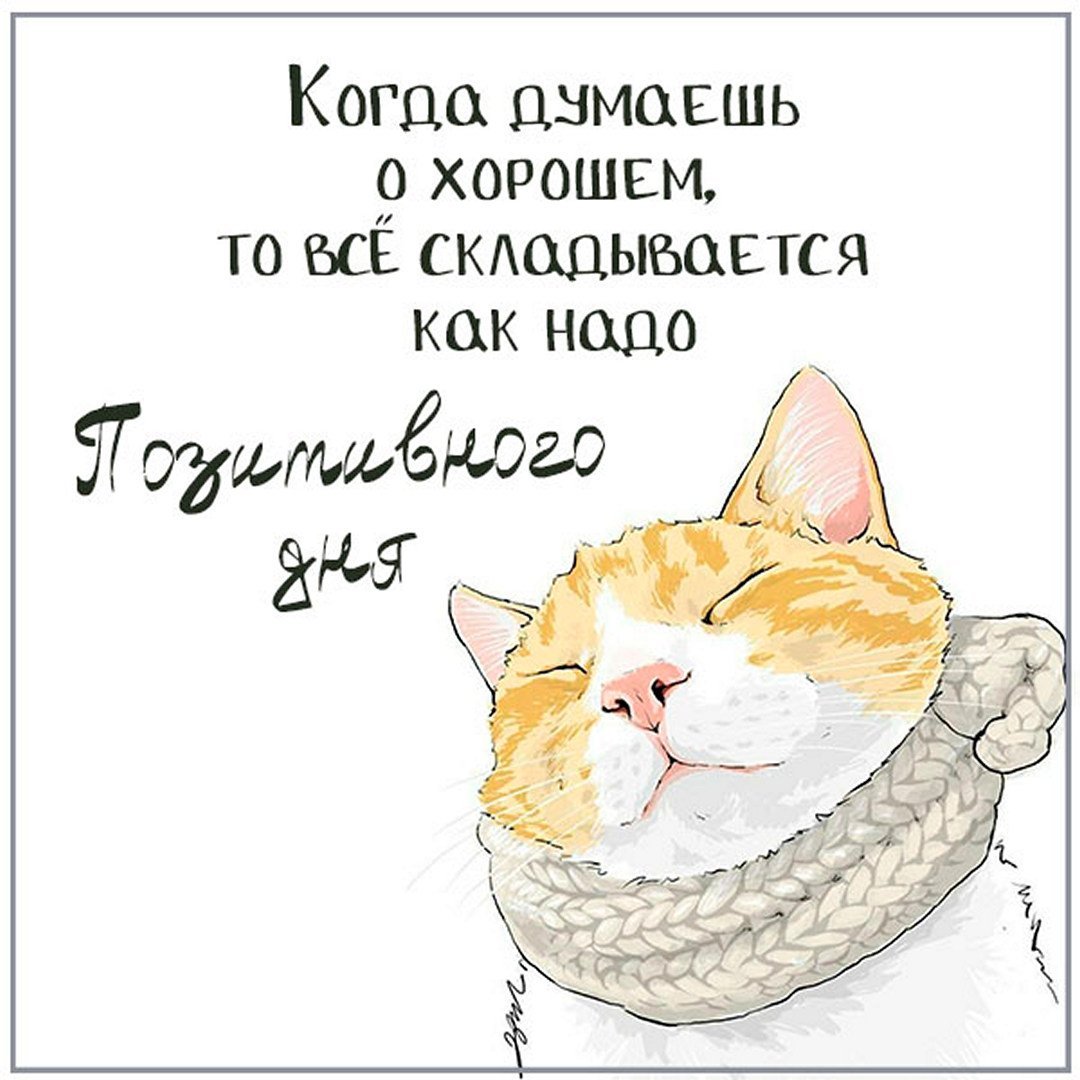 Здравствуй вторник прикольные