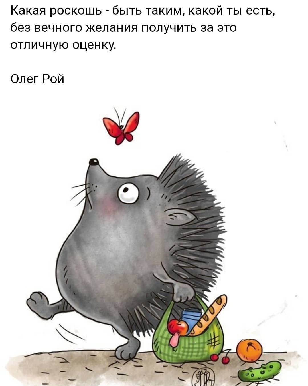 Открытки с Ёжиками прикольные со словами