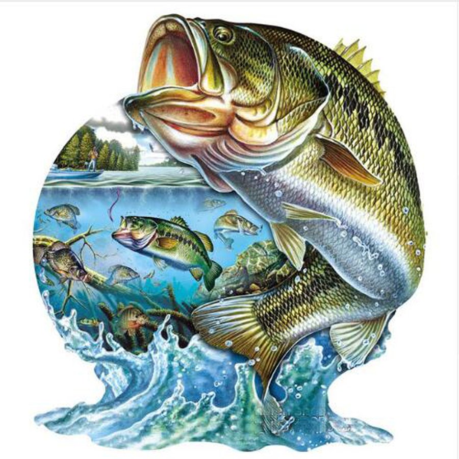 Бэби Шарк герои