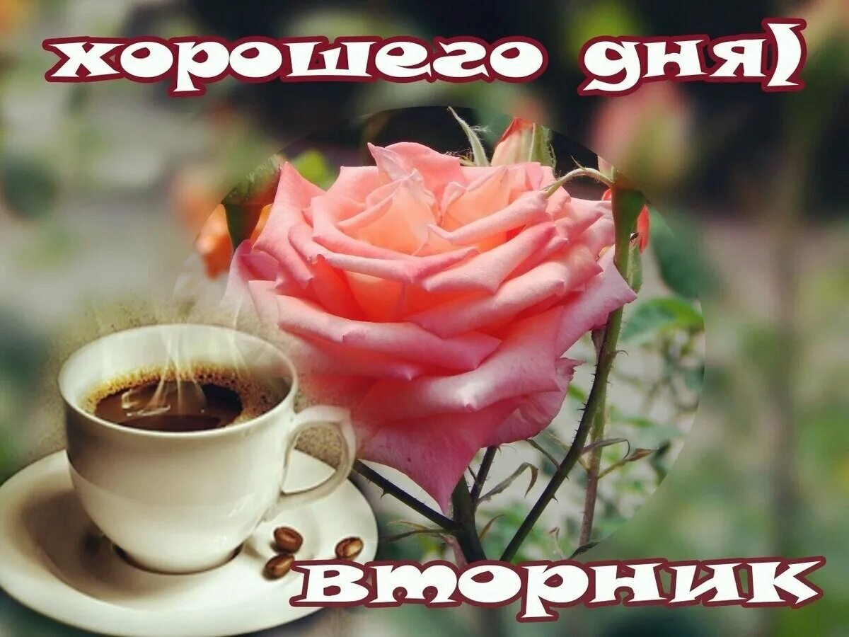 Утро вторника