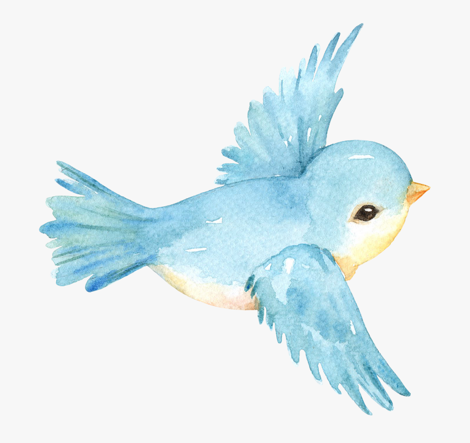 Птичка рисунок