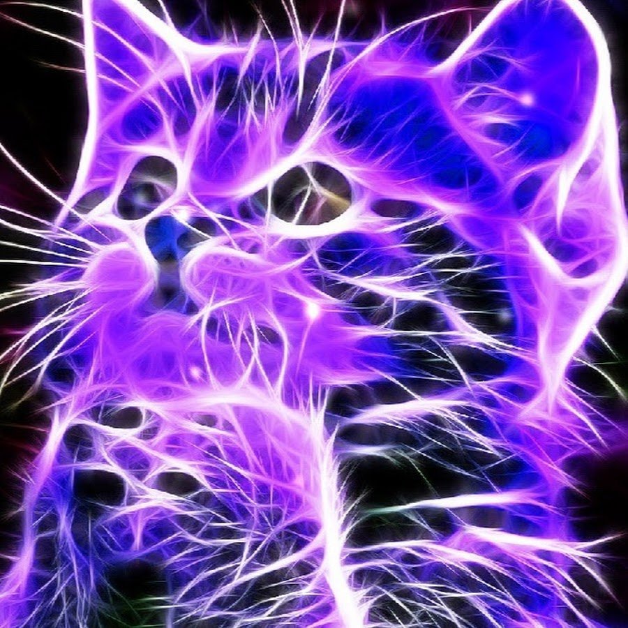 Светящиеся котики