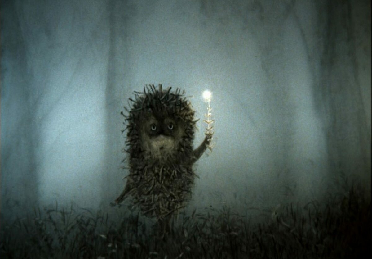 Ёжик в тумане и коронавирус