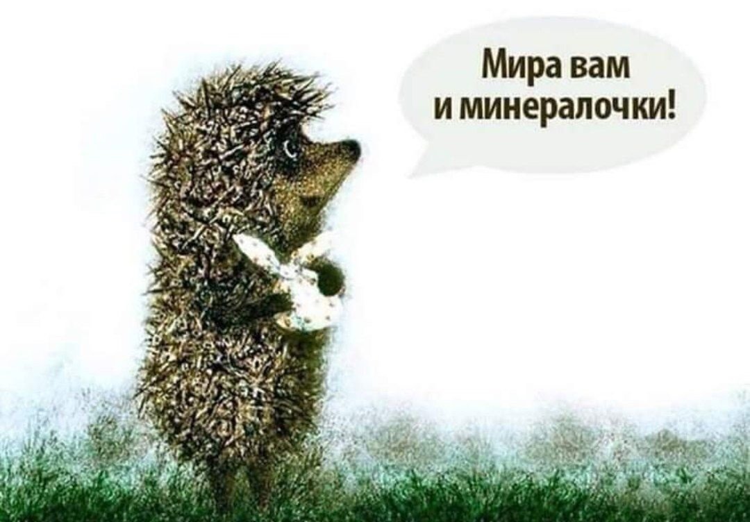 Ежик в тумане игрушка