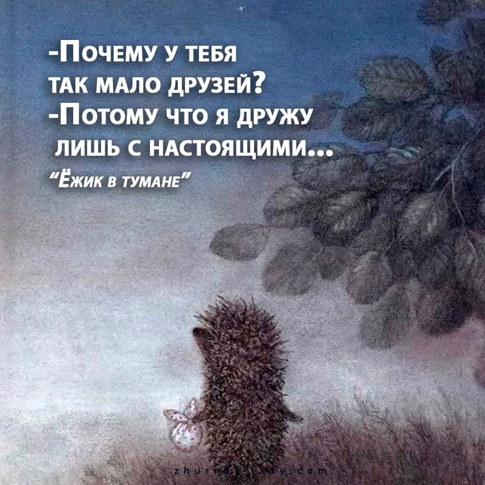 Ежик в тумане мультфильм 1975