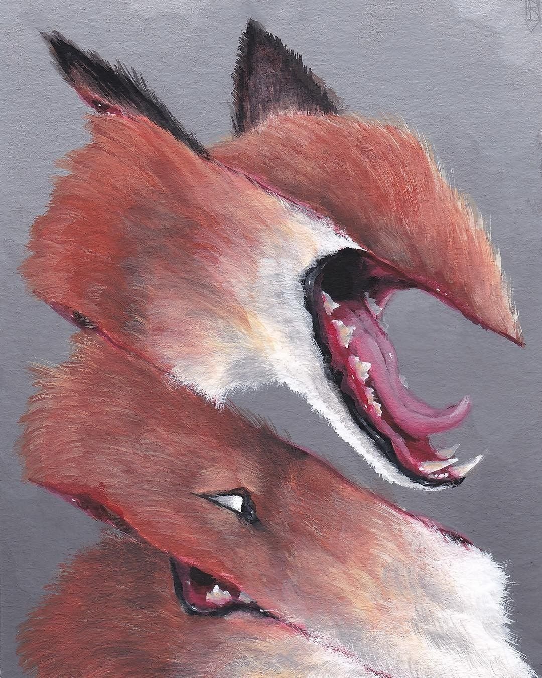 Culpeo Fox демон