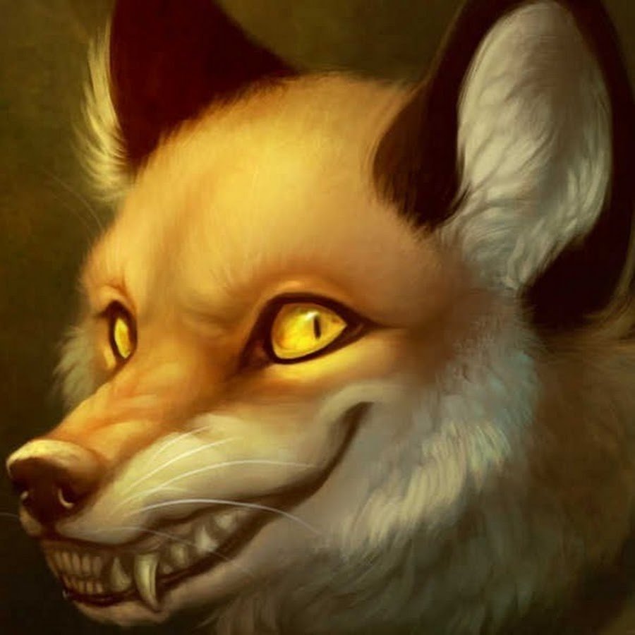 Culpeo Fox череп