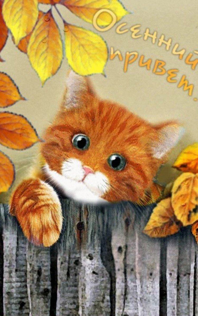 Пушистый приветик