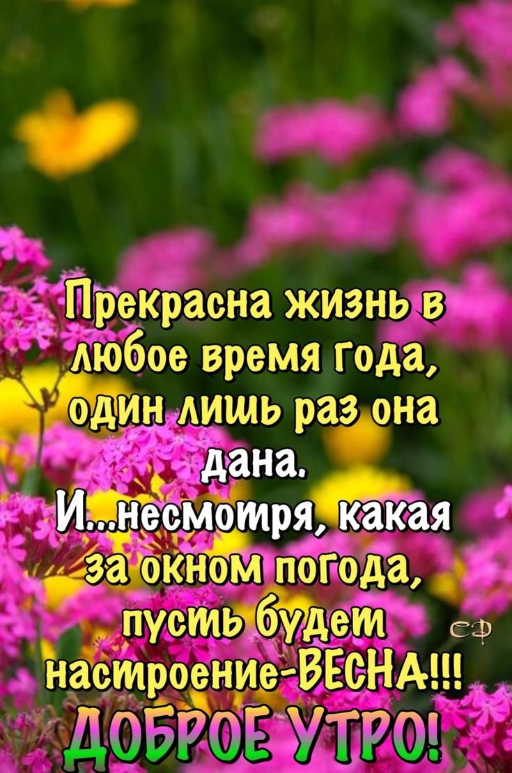 Позитивные цитаты