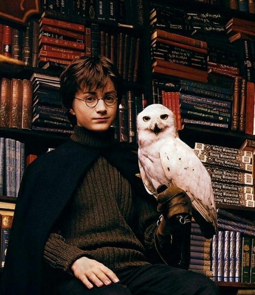 Гарри Поттер канон