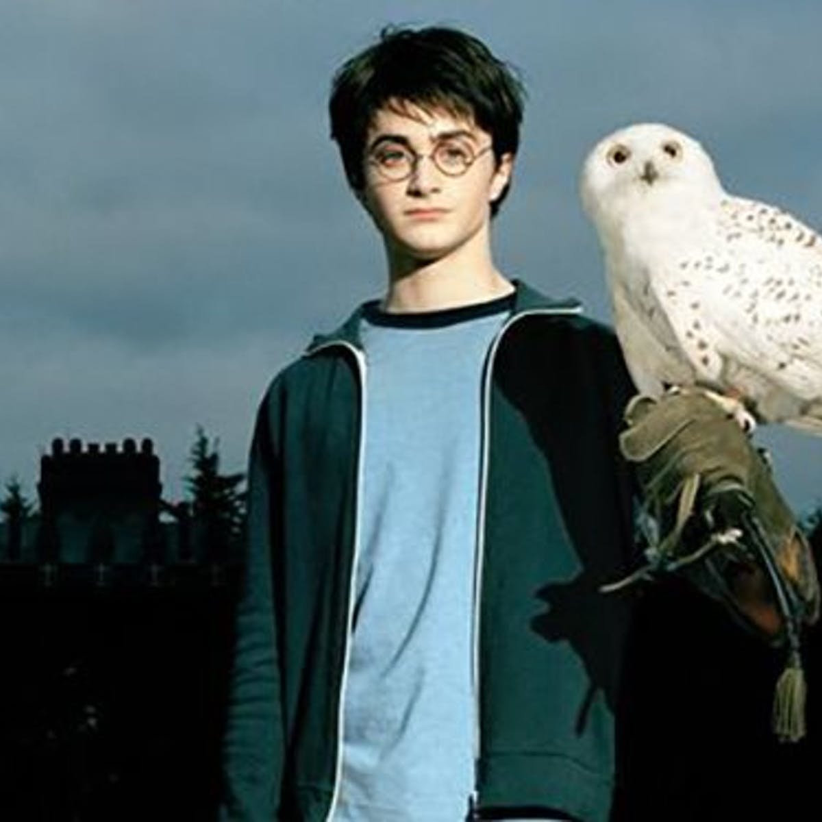 Гарри и Букля