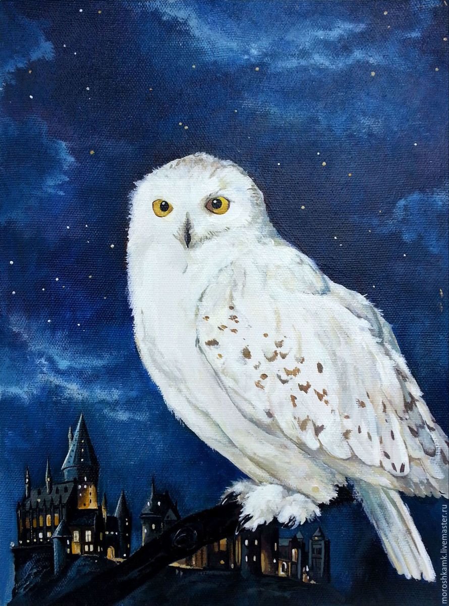 Сова Гарри Поттера