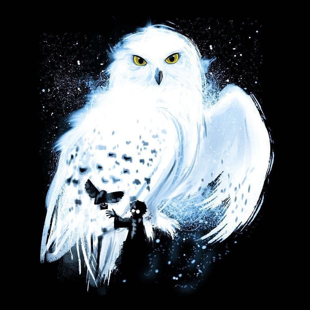 Harry Potter Букля