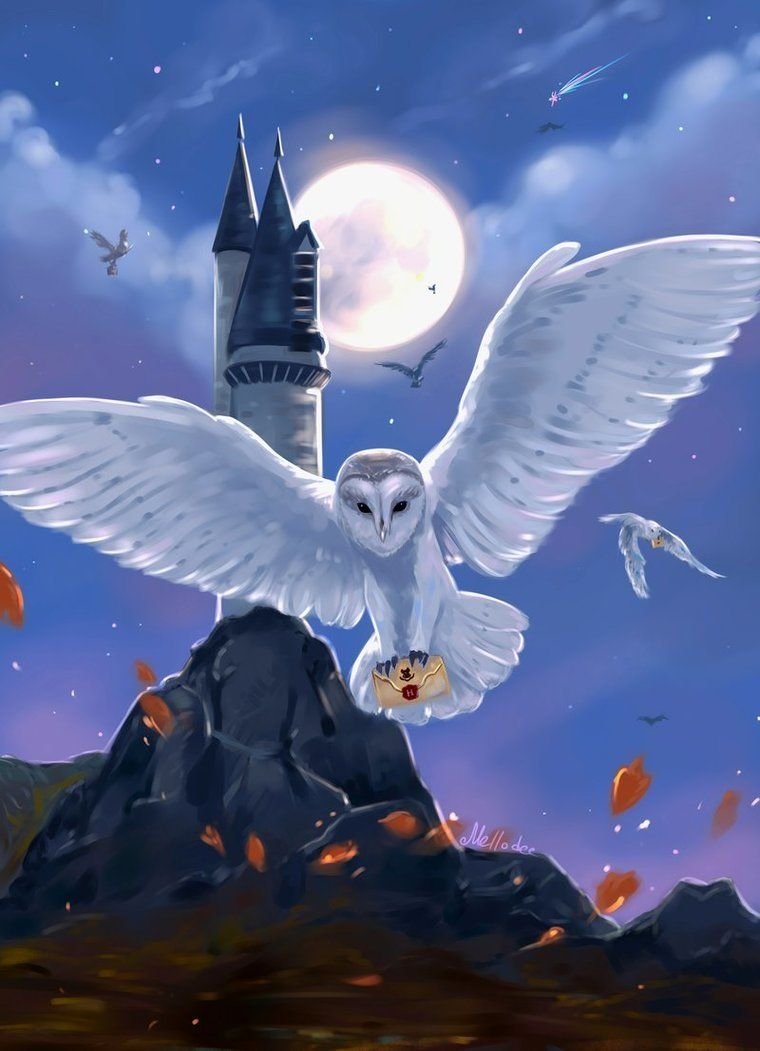 Сова Букля (Гарри Поттер)