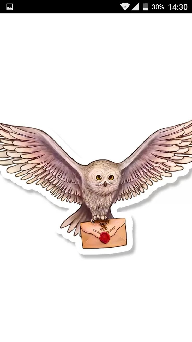 Букля Сова Гарри Поттера маслом