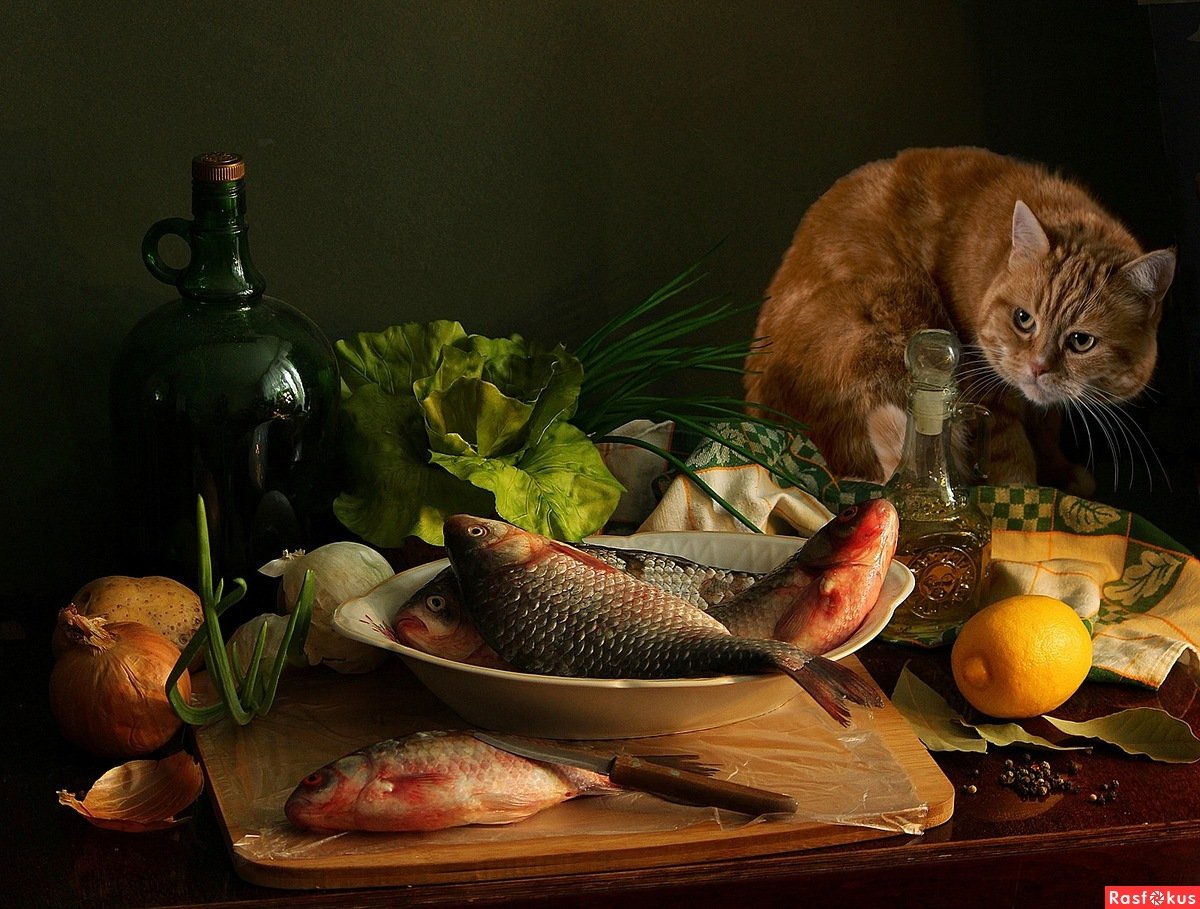 Стильные пожелания с добрым утром