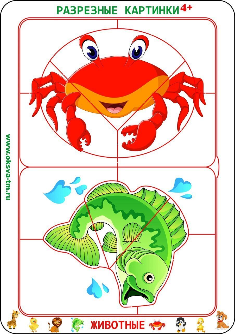 Математические пазлы рыбы