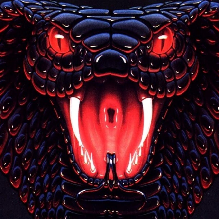 Кобра морда