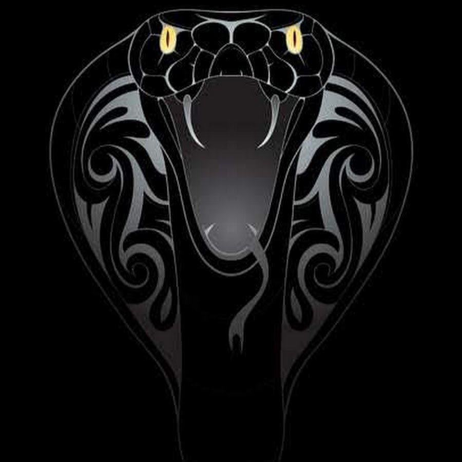 Кобра на темном фоне