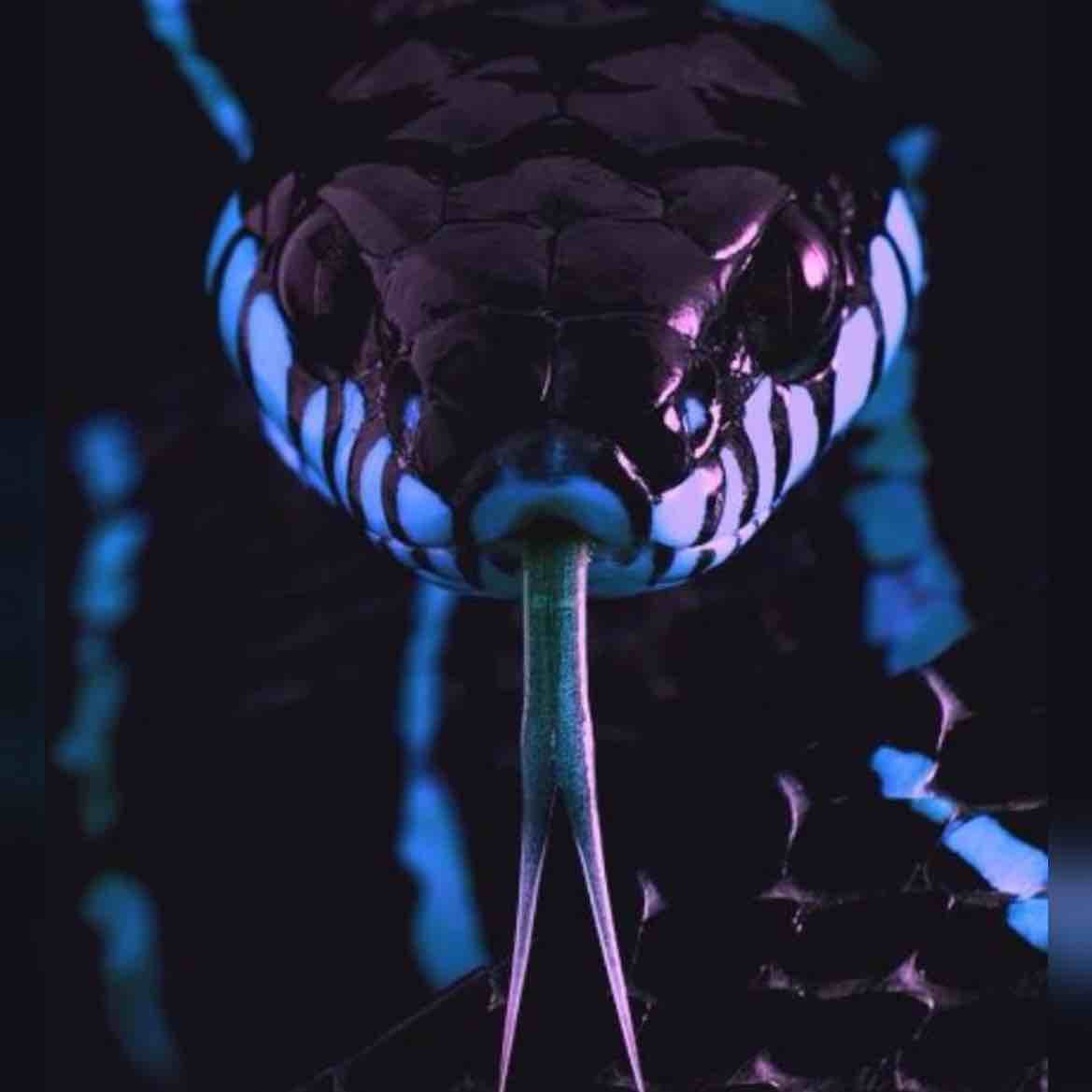 Кобра на заставку