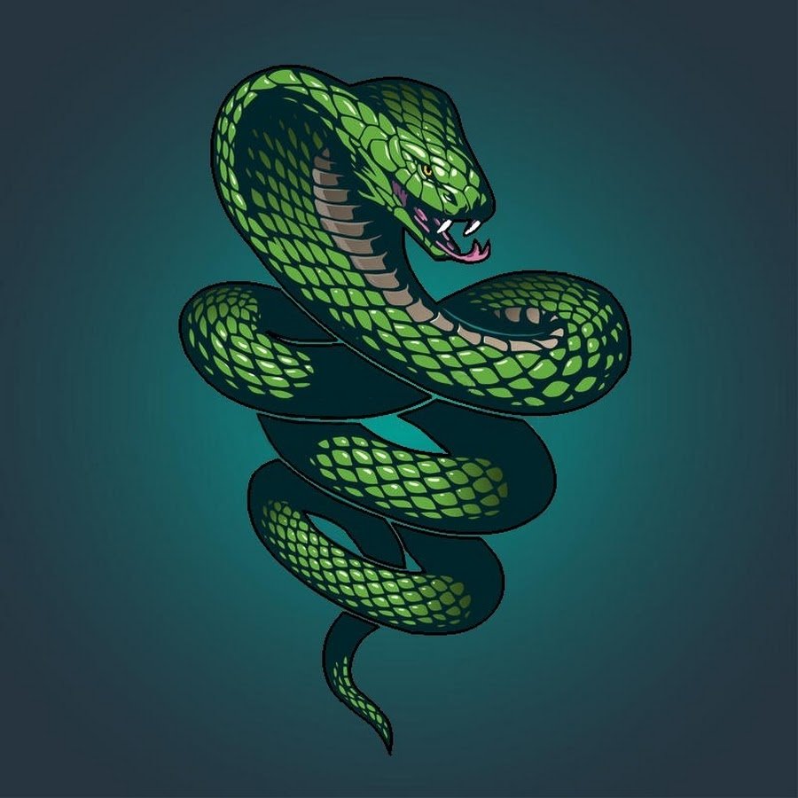 Зеленая змея арт