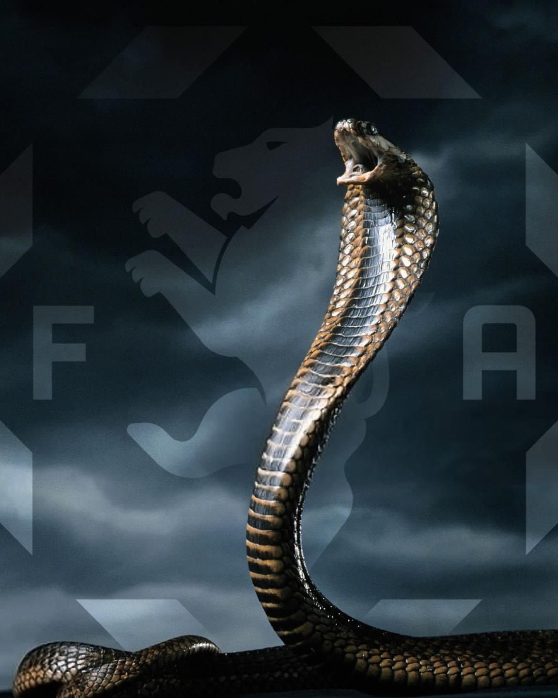 Королевская Кобра Нагайна