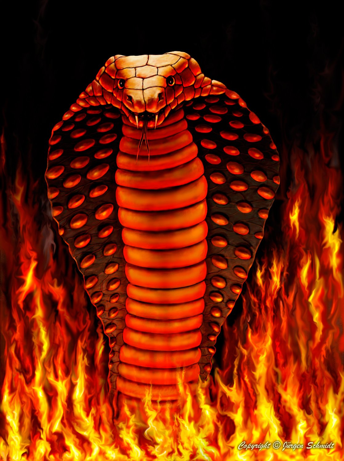 Огненная Королевская Кобра