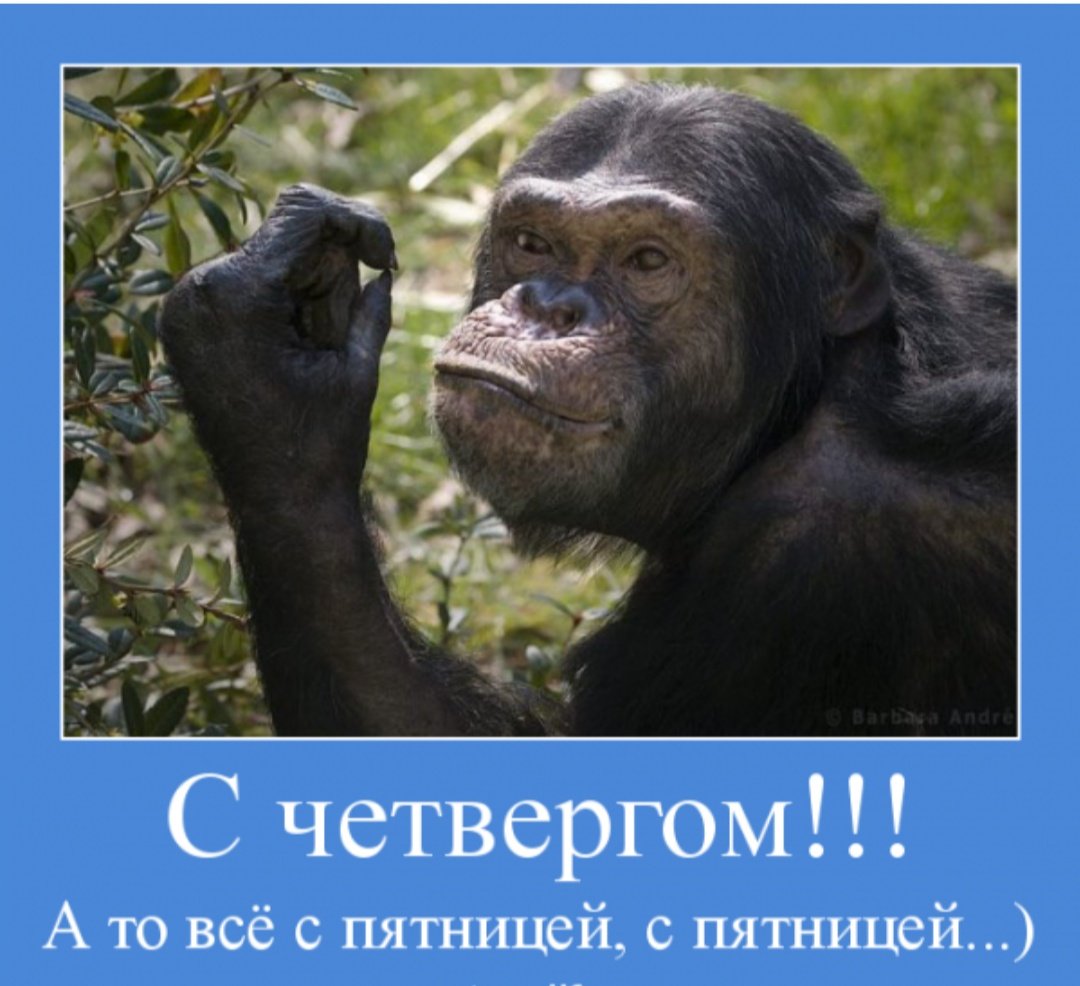 Открытки с добрым воскресным утром