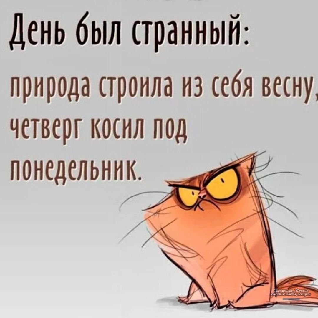 С четвергом прикольные