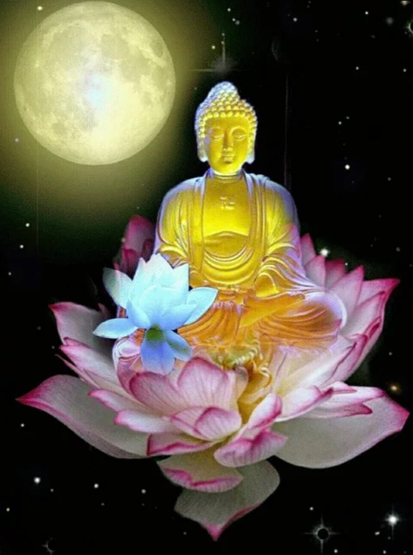 Будда картина Лотус