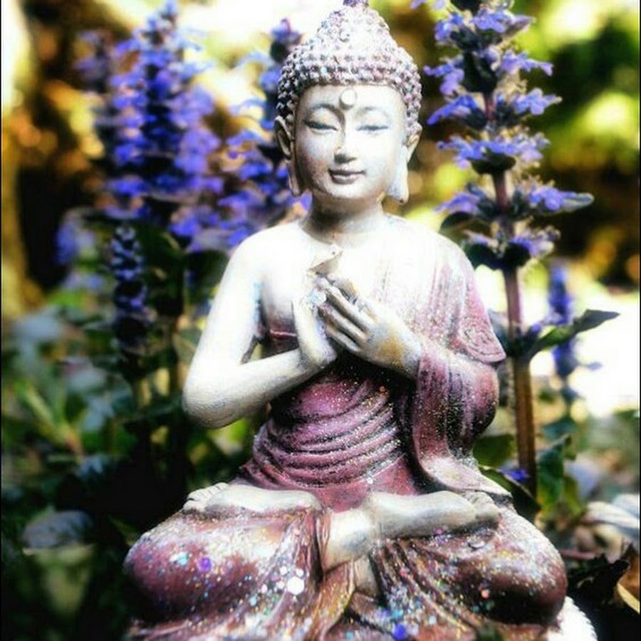 Цветок Будды