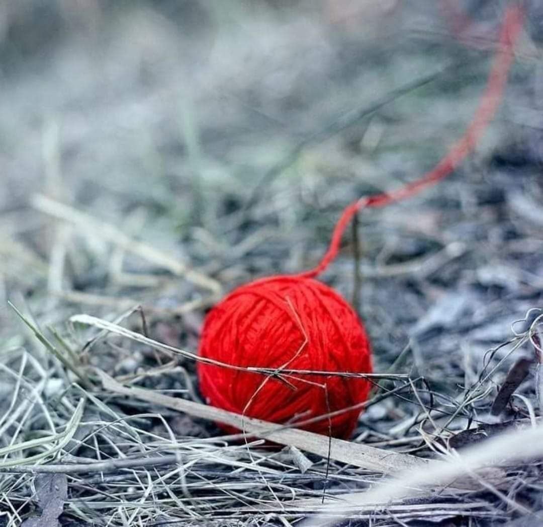 Клубок красных шерстяных ниток