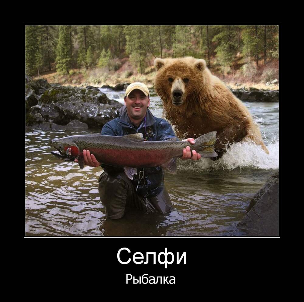 Нерест лососевых медведи Камчатка